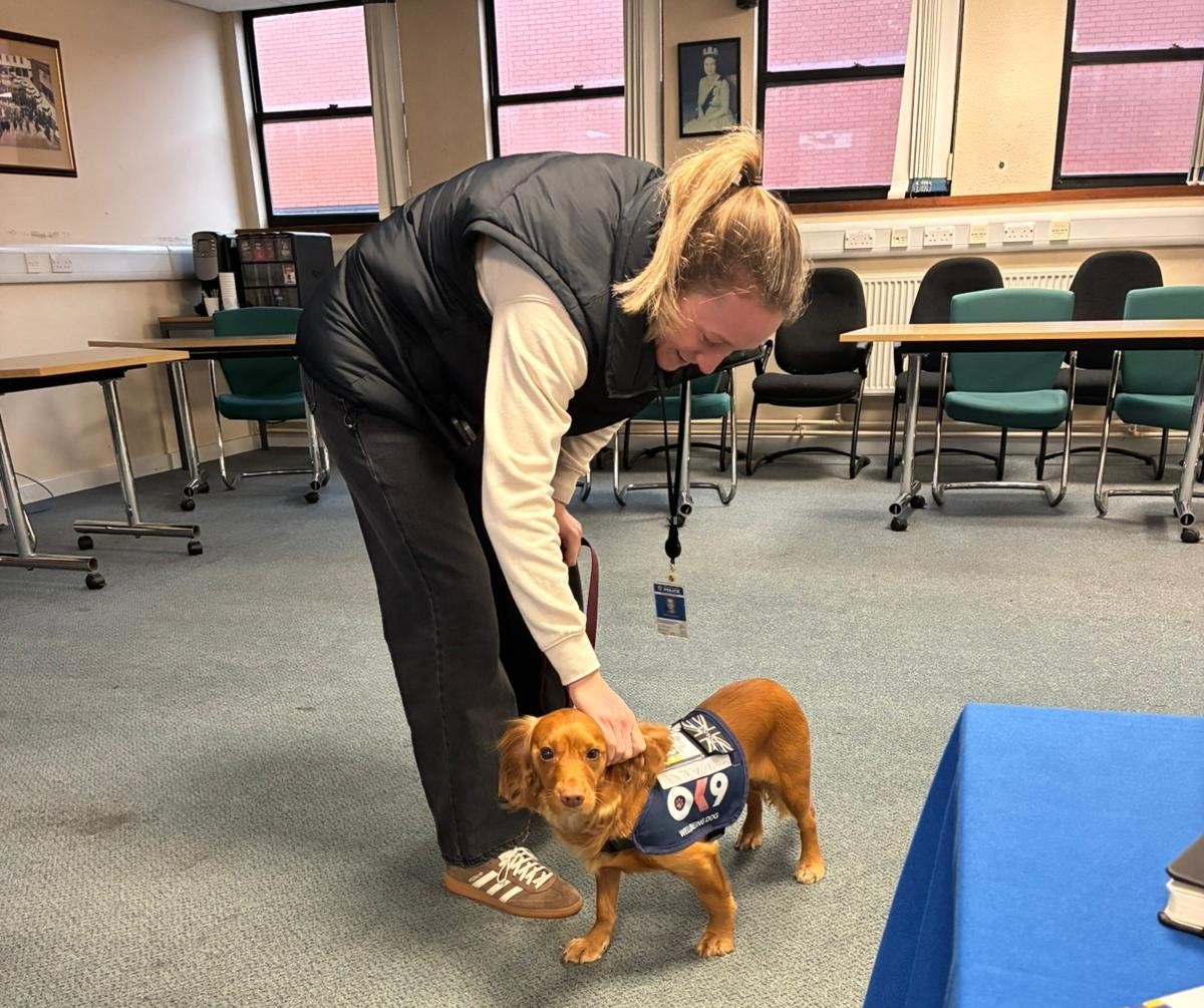 The wellbeing dog at the roadshow.