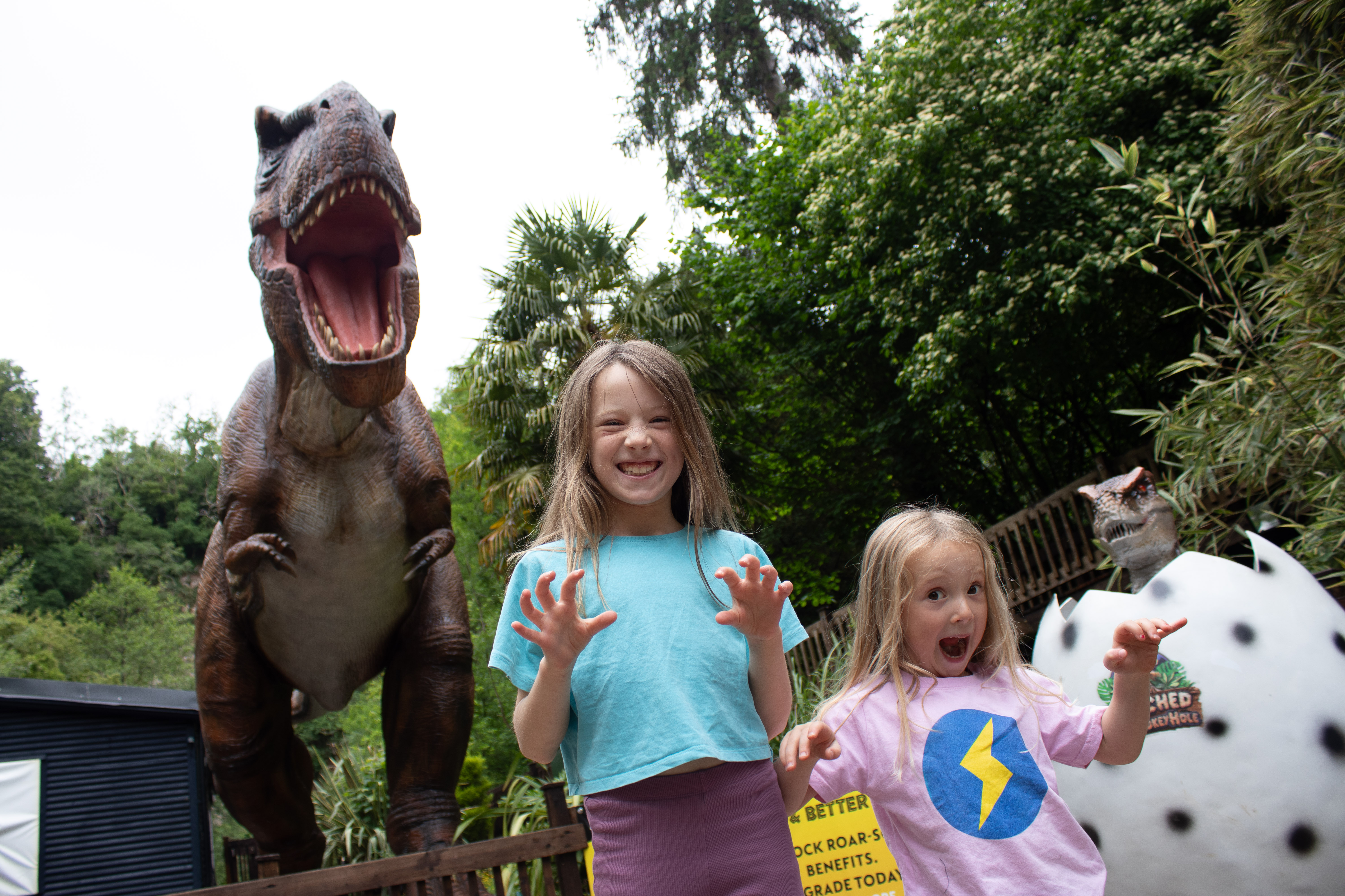 Meet the dinosaurs.